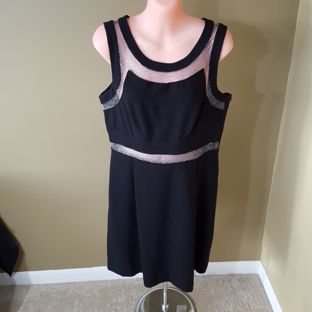 BCBG Lace Inset Dress